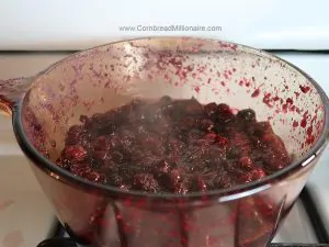 Cranberries cooked in pot