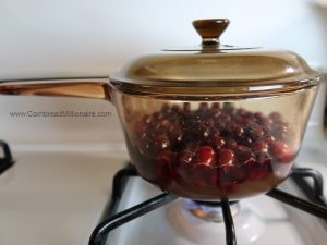 Cranberries in pot