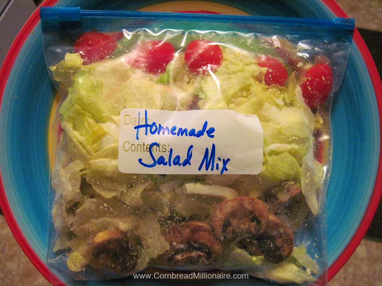 Homemade Salad Mix in a Bag UPDATED