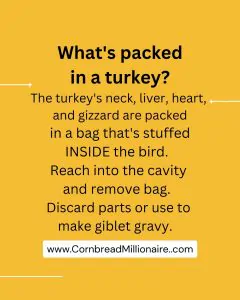 Turkey Tips for Beginners